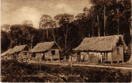 PC CPA TRINIDAD, ROAD THROUGH THE MORA FOREST, VINTAGE POSTCARD (b11303) - Trinidad