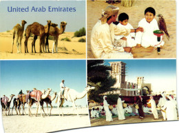 PC CPA UAE, SCENES FROM THE EMIRATES, REAL PHOTO Postcard (b16734) - United Arab Emirates