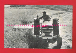 1 Grande Carte Format 11.5 Cm X 18 Cm ... Tracteur Massey Ferguson ...Agriculture ... - Tracteurs