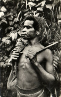 PC CPA PAPUA NEW GUINEA, GUERRIER MONTAGNARD, Vintage Postcard (b19746) - Papouasie-Nouvelle-Guinée