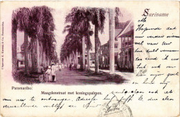 PC CPA PC CPA SURINAME PARAMARIBO, MAAGDENSTRAAT, VINTAGE POSTCARD (b4775) - Surinam