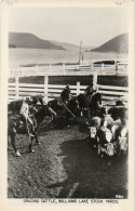 PC CPA US, ID, WILLIAMS LAKE STOCK YARDS, VINTAGE REAL PHOTO POSTCARD (b6910) - Autres & Non Classés