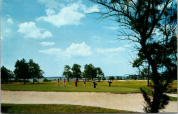 Florida Clearwater Belleair The Belleview Biltmore Golf Course 4th Green Overlooking Gulf Of Mexico - Clearwater