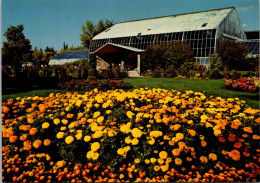 Canada Calgary Zoo Marigolds And The Tropical Aviary - Calgary