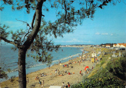 44 - La Plaine Sur Mer - Le Cormier - Vue Sur Les Plages Vers Tharon - La-Plaine-sur-Mer