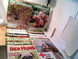 Konvolut: 11 Div. Zeitschriften: Der Hund - Partner Hund - Der Dachshund. - Tierwelt