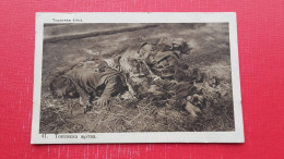 Kraljevina SHS.Slike Iz Velikog Ratnog Albuma Majora Andre Popovica.Topovska Zrtva - Monuments Aux Morts