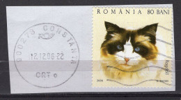 S2222 - ROMANIA ROUMANIE Yv N°5058 - Oblitérés