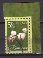 S2226 - ROMANIA ROUMANIE Yv N°5084 - Oblitérés