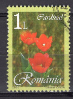 S2227 - ROMANIA ROUMANIE Yv N°5085 - Gebraucht