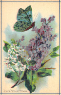 Fleurs - Illustration De LILAS Et Papillon PIERIDE - Carte Postale Ancienne - Blumen