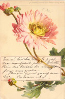 Fleurs - Illustration De Dalia - Carte Postale Ancienne - Blumen