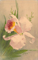 Fleurs - Illustration De Fleurs Blanche - Carte Postale Ancienne - Blumen