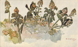Fleurs - Illustration De P. Stachiewicz - Carte Postale Ancienne - Blumen