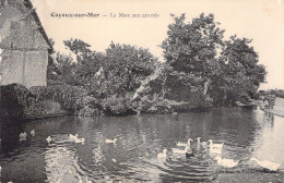 FRANCE - 80 - CAYEUX SUR MER - La Mare Aux Canards - Carte Postale Ancienne - Cayeux Sur Mer