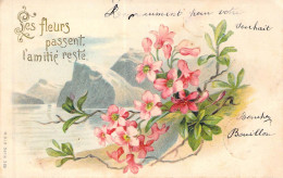 Fleurs - Illustration De Fleurs à Identifier Et Montagne - Carte Postale Ancienne - Blumen