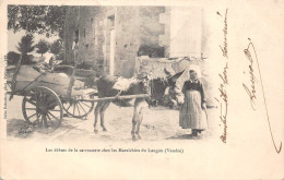 ¤¤  -  LE LANGON  -  Les Débuts De La Carrosserie Chez Les Maraichins   -  Attelage D'Ane   -   ¤¤ - Autres & Non Classés