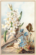 Fleurs - Illustration De Fleurs à Identifier Blanches Et Bleues - Carte Postale Ancienne - Flowers