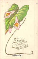 Fleurs - Illustration De Fleurs à Identifier Roses  - Carte Postale Ancienne - Blumen