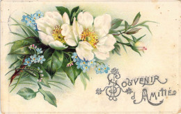 Fleurs - Illustration De Fleurs à Identifier - Carte Postale Ancienne - Blumen