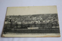 Saint Just Sur Loire - Vue Panoramique Et Les Barques - Saint Just Saint Rambert