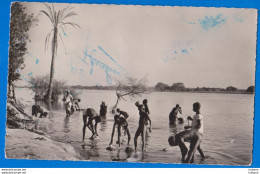 Delcampe - Niger, Niamey, La Lessive, Real Photo Postcard - Niger