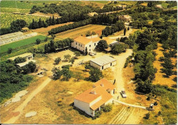 SORGUES (84) Foyer AVEAT, Chemin Du Grand Goulet, Aerophoto, Cpm - Sorgues