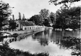 Cernay * Route Et L'étang Des Vaux - Cernay-la-Ville