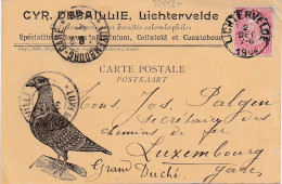 32252# PIGEON COLOMBOPHILIE COMMANDE DE BAGUE 1905 CARTE POSTALE Obl LICHTERVELDE 1904 LUXEMBOURG VILLE GARE - 1895 Adolphe Right-hand Side