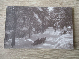 CPA PHOTO SUISSE SPORTS D'HIVER NEIGE LUGE FORET - Port