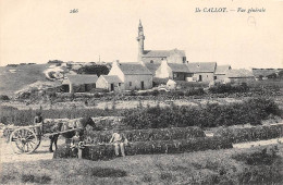 Ile Callot        29       Carantec   . Vue Générale        (voir Scan) - Andere & Zonder Classificatie