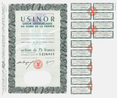 USINOR – Action De 75 Francs, Capital: 554.250.000 Francs - Industrie