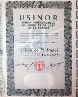 USINOR – Action De 75 Francs, Capital: 1.429.171.675 Francs - Industrie