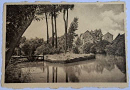 @Le@  -  ROTSELAAR  -  4. Zicht Op De Dijle En Watermolen  -  Zie / Voir Scan's - Rotselaar