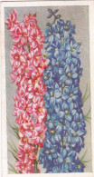 20 Larkspur - Annuals 1939 - Godfrey Phillips Cigarette Card - Original - Phillips / BDV