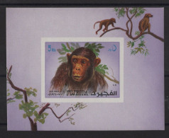 FUJEIRA - Faune - Singe - Non Dentele - ** Neuf Sans Charniere - Fudschaira