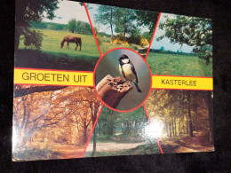 Postkaart Kasterlee - Kasterlee