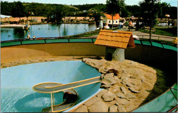 Canada Edmonton Storyland Valley Children's Zoo Playful Otters - Edmonton