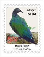 India 2016 Near Threatened Birds 1v STAMP MNH As Per Scan - Pics & Grimpeurs