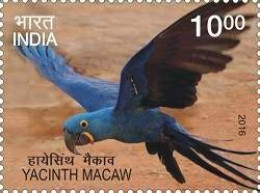 India 2016 Exotic Birds _ PARROTS 1v STAMP MNH, As Per Scan - Koekoeken En Toerako's