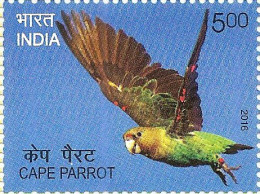 India 2016 Exotic Birds _ PARROTS 1v STAMP MNH, As Per Scan - Koekoeken En Toerako's