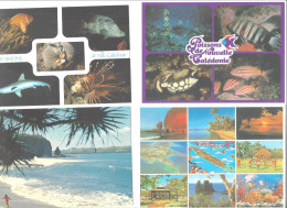 NOUVELLE CALEDONIE    LOT DE 5   CARTES    THEMES POISSONS        ***          A  SAISIR  **** - Nouvelle Calédonie