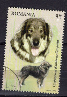 S2315 - ROMANIA ROUMANIE Mi N°6643 - Used Stamps