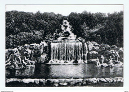 CASERTA :  PARCO  REALE  -  GRANDE  CASCATA  -  FOTOCARTOLINA  -  FG - Caserta