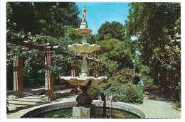 PARQUE.- ALBACETE.- ( ESPAÑA ) - Albacete