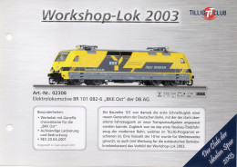 Catalogue TILLIG 2003 Sammelkarten - Modelle Des TILLIG-TT-CLUB Spur TT - German