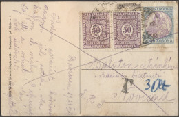 JUGOSLAVIA - SHS  PORTO  2x50 Para - DEBRECEN To NOVI SAD - 1924 - RARE - Impuestos