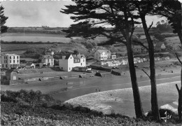 29-DOUARNENEZ- LA PLACE DU RIS VUE DES FALAISES DU GRAND RIS - Douarnenez