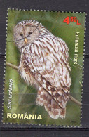 S2365 - ROMANIA ROUMANIE Mi N°6723 - Used Stamps