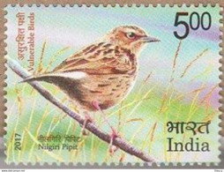 India 2017 Vulnerable Birds Endangered Animal Species Pigeon 1v Stamp MNH As Per Scan - Spechten En Klimvogels